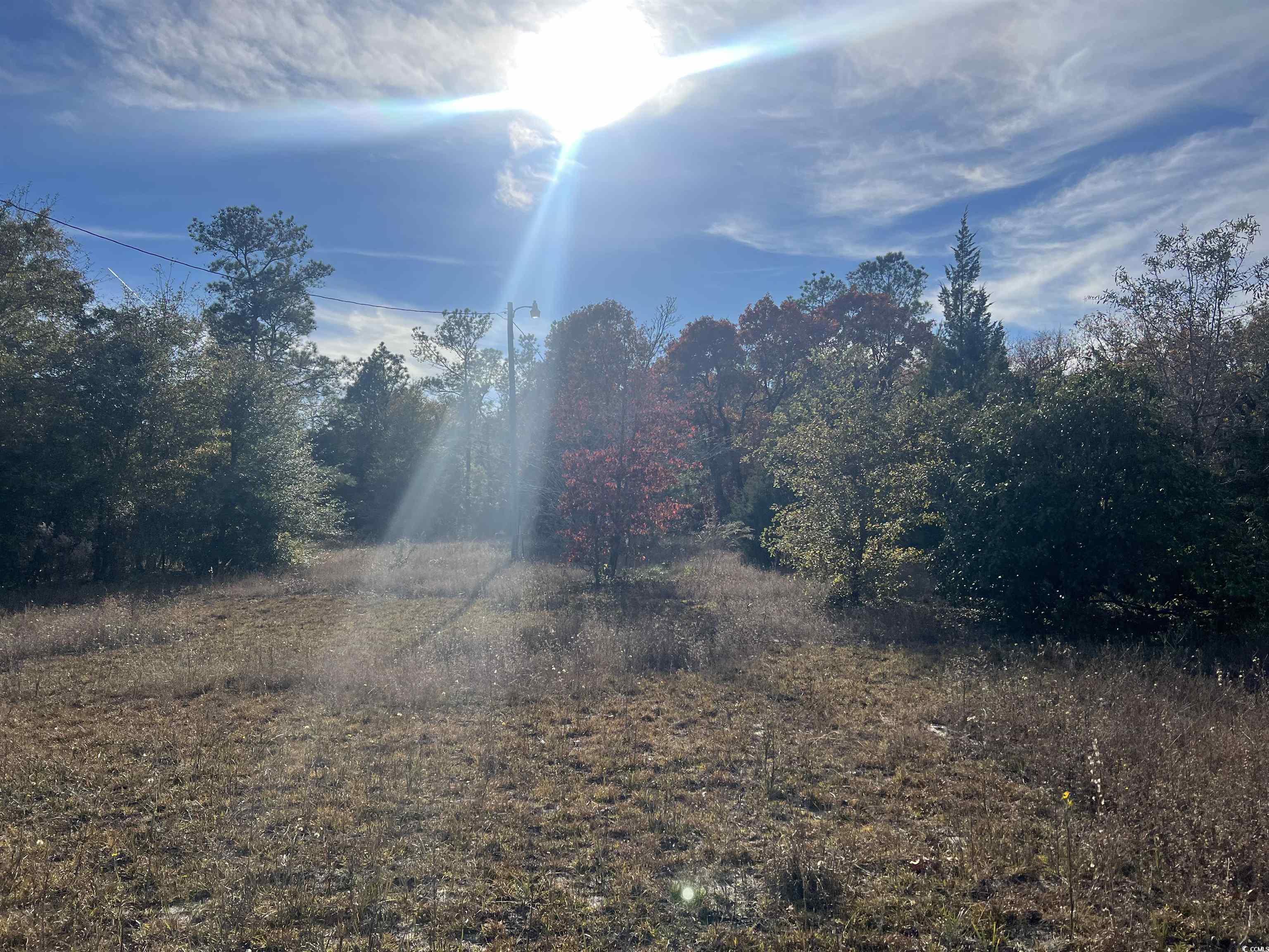 1563 Oakridge Road Gresham, SC 29546 - Photo 2 of 8 View of undeveloped land