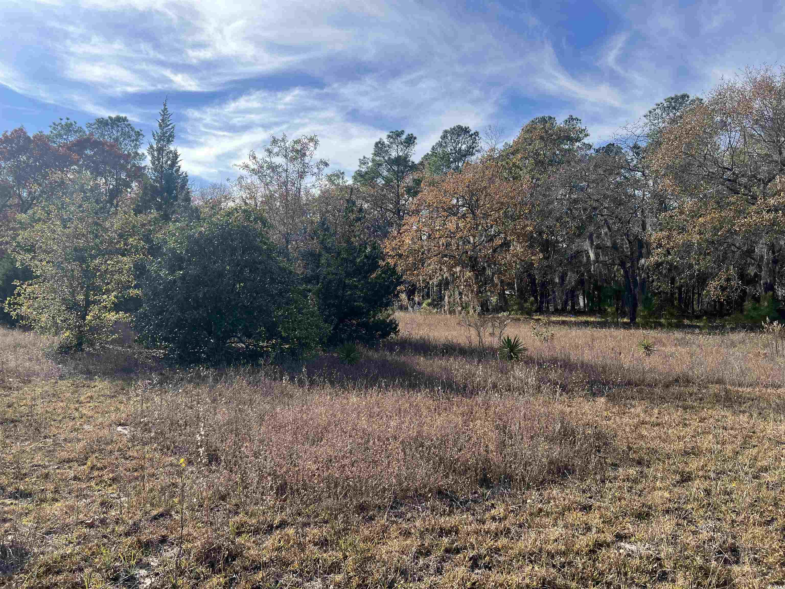 1563 Oakridge Road Gresham, SC 29546 - Photo 3 of 8 View of nature