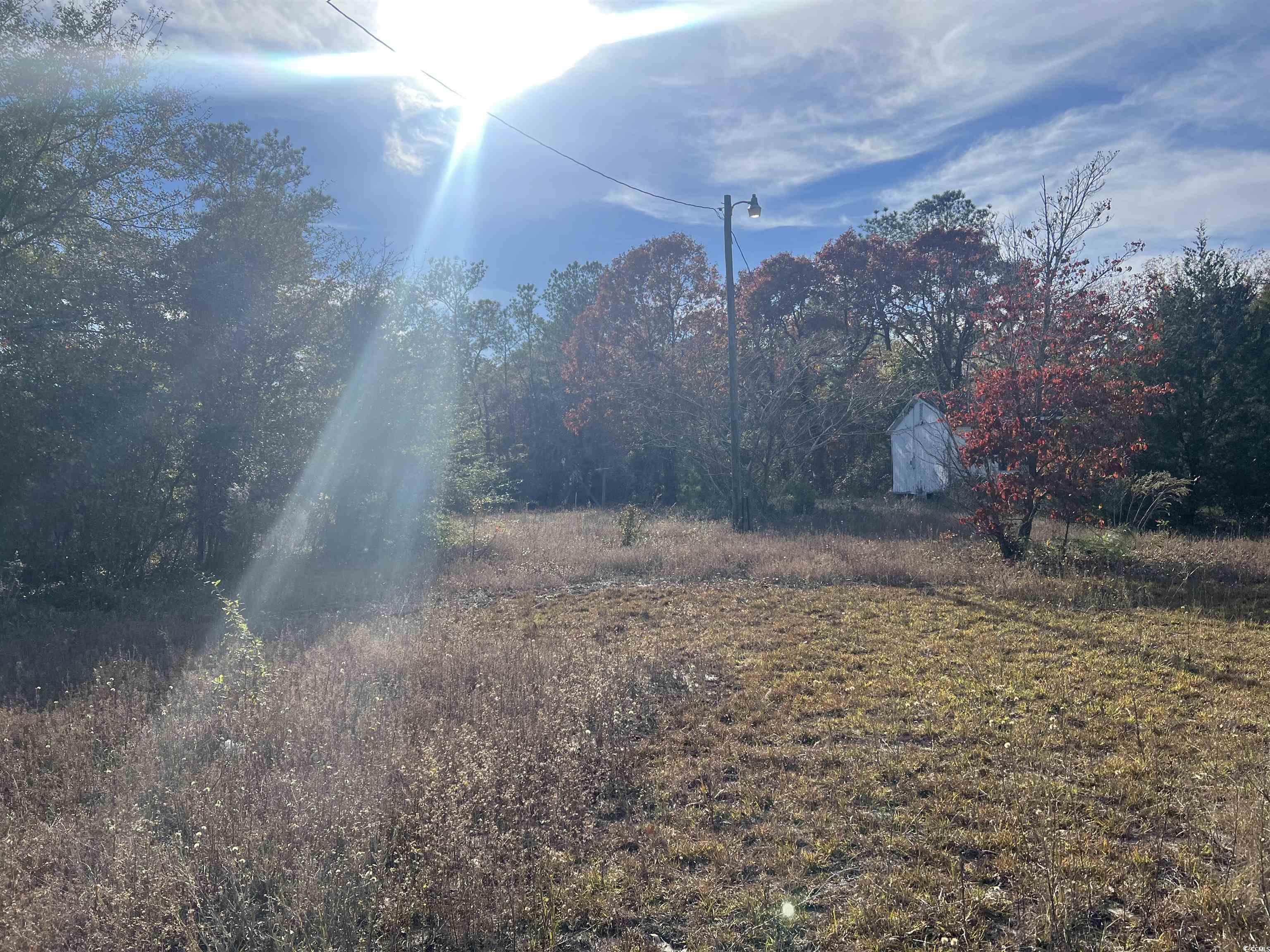 1563 Oakridge Road Gresham, SC 29546 - Photo 4 of 8 View of yard featuring a storage shed
