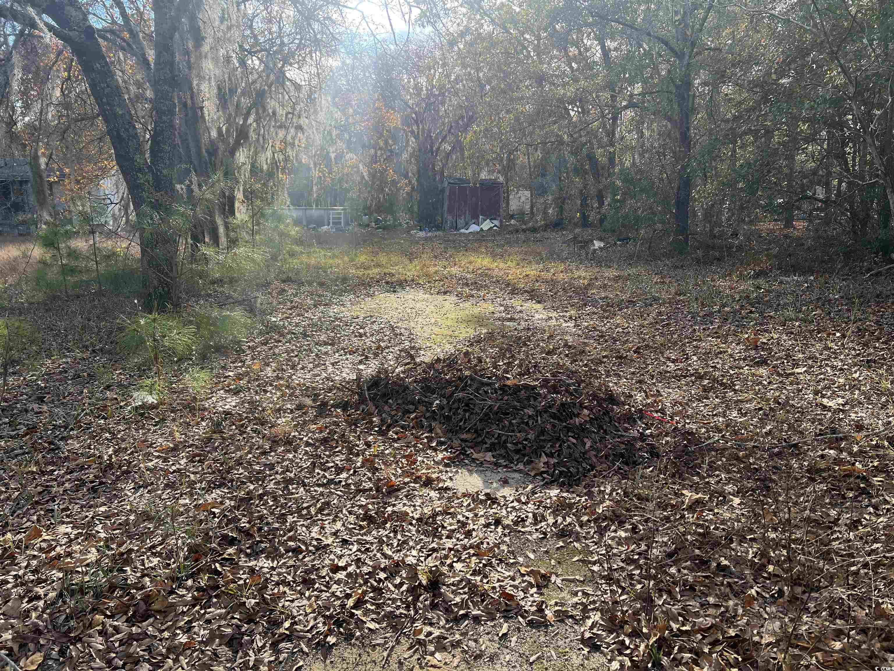 1563 Oakridge Road Gresham, SC 29546 - Photo 8 of 8 View of yard
