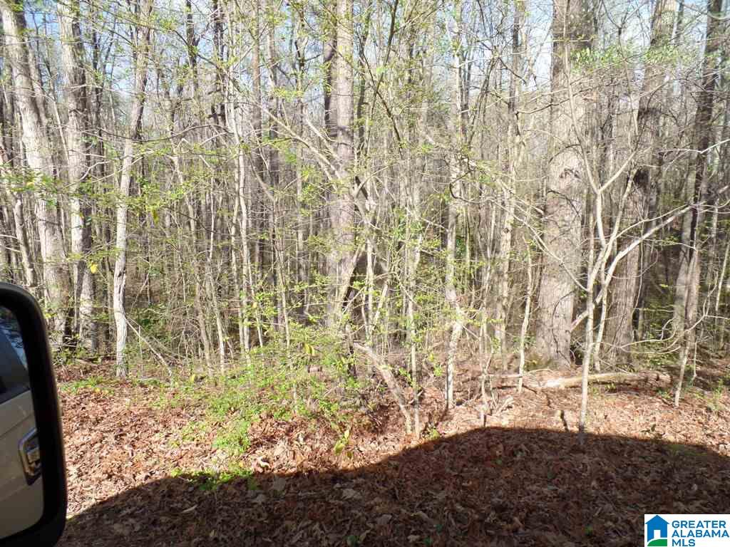 Azalea Street, Unit 2 51 Heflin, AL 36264 - Photo 3 of 14
