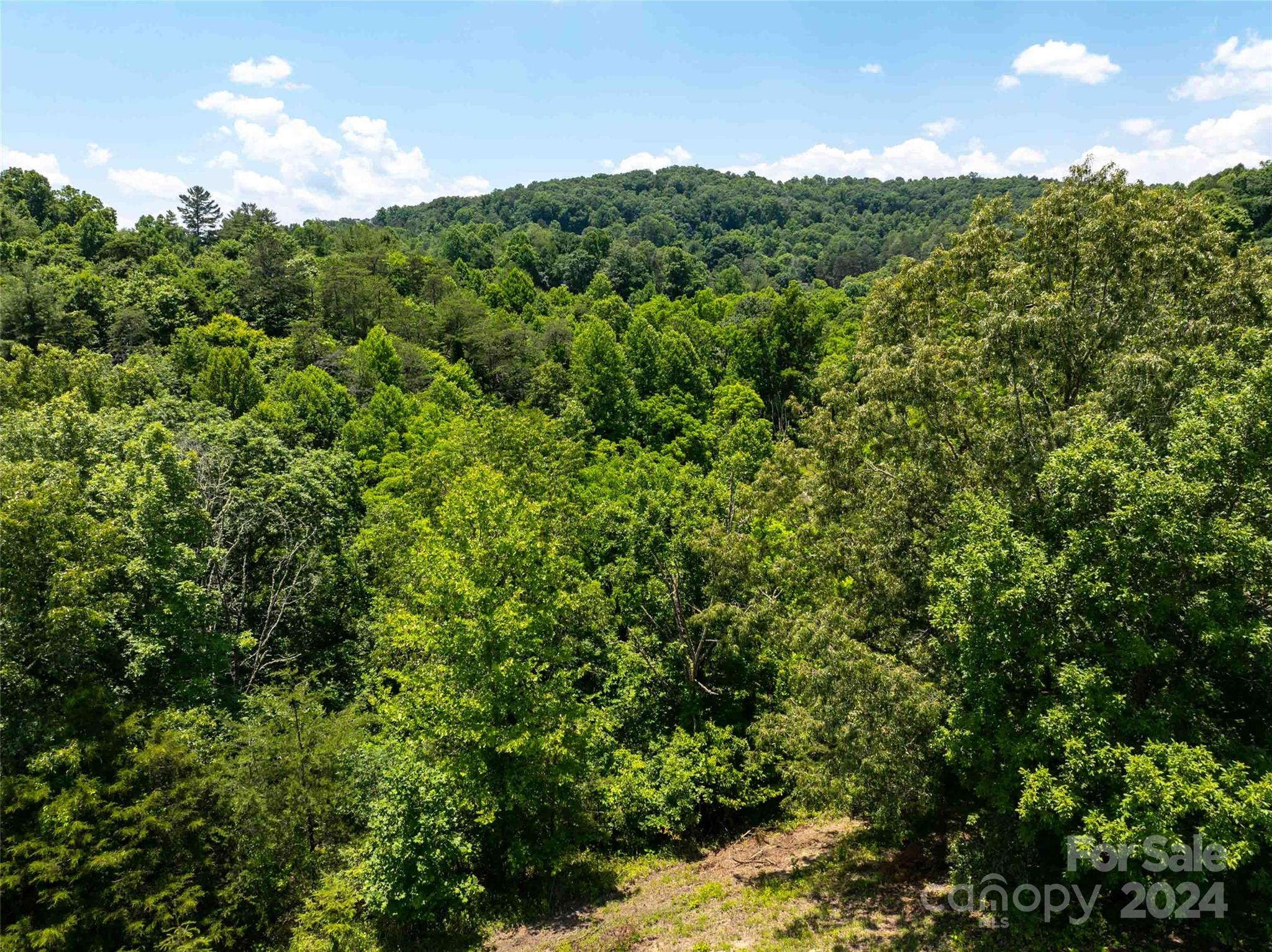 Lot 1 Firefly Ridge, Unit 1 Alexander, NC 28701 - Photo 1 of 14 Gallery Image 1