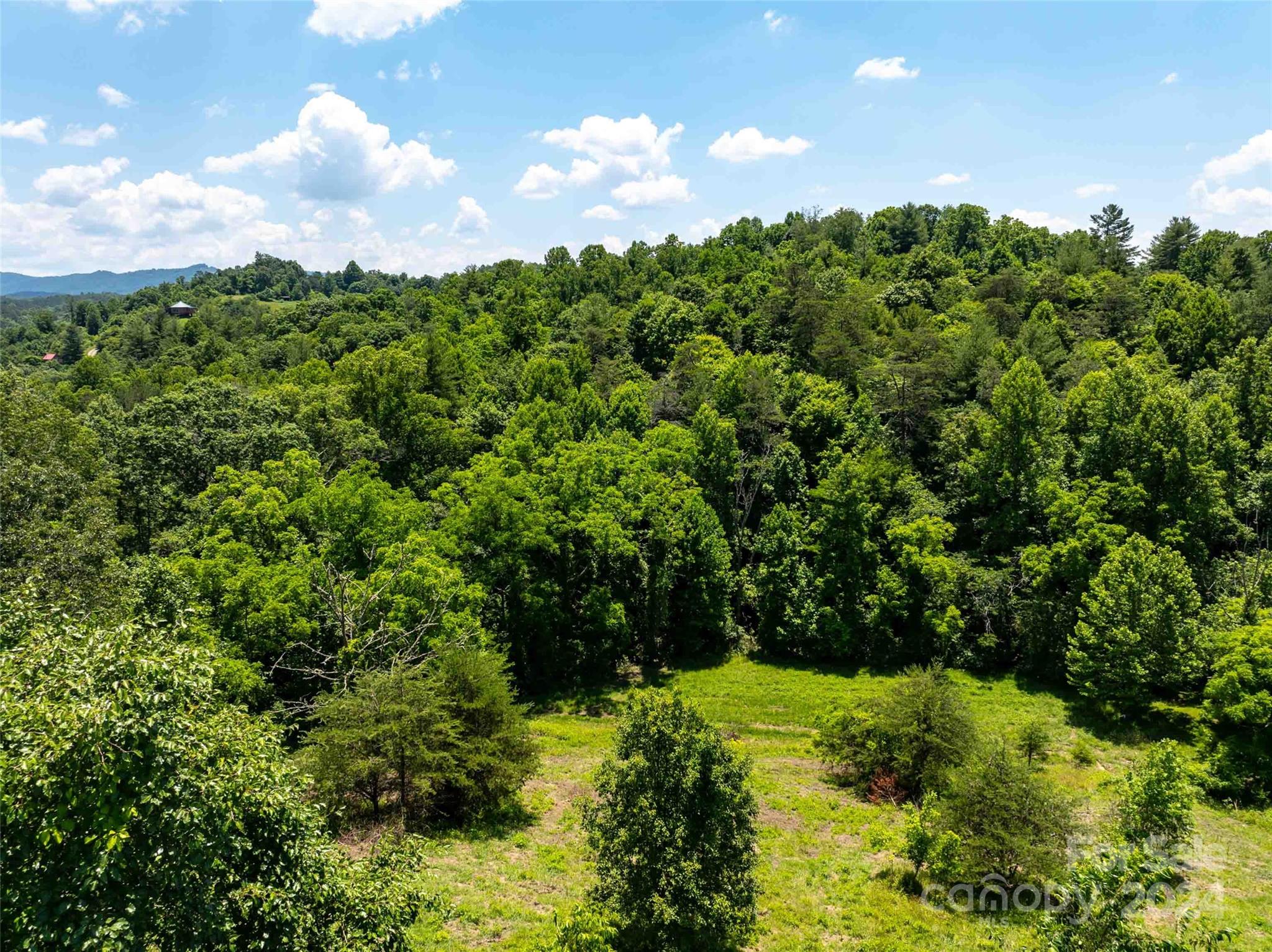 Lot 1 Firefly Ridge, Unit 1 Alexander, NC 28701 - Photo 3 of 14 Gallery Image 3