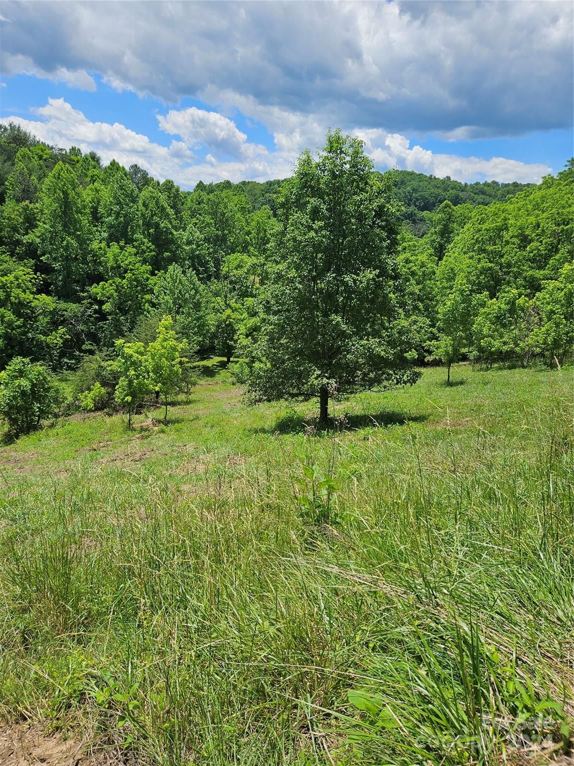 Lot 1 Firefly Ridge, Unit 1 Alexander, NC 28701 - Photo 5 of 14 Gallery Image 5