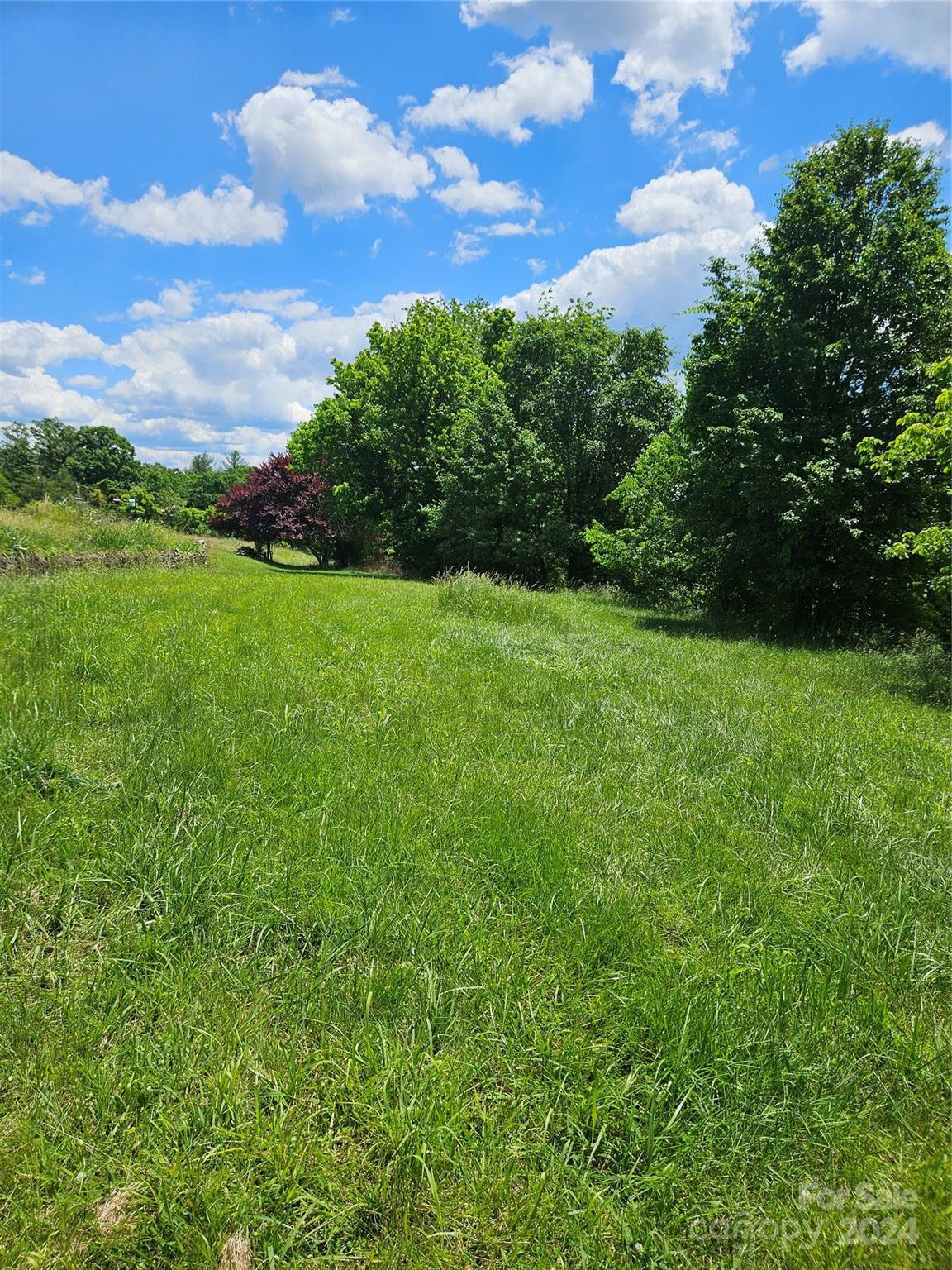 Lot 1 Firefly Ridge, Unit 1 Alexander, NC 28701 - Photo 6 of 14 Gallery Image 6