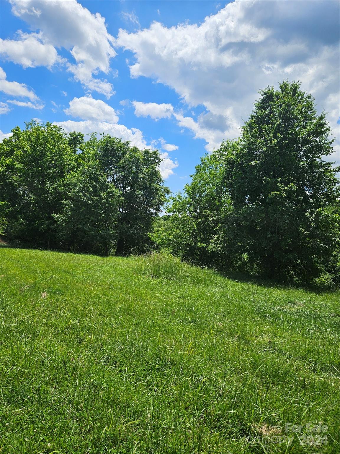 Lot 1 Firefly Ridge, Unit 1 Alexander, NC 28701 - Photo 7 of 14 Gallery Image 7