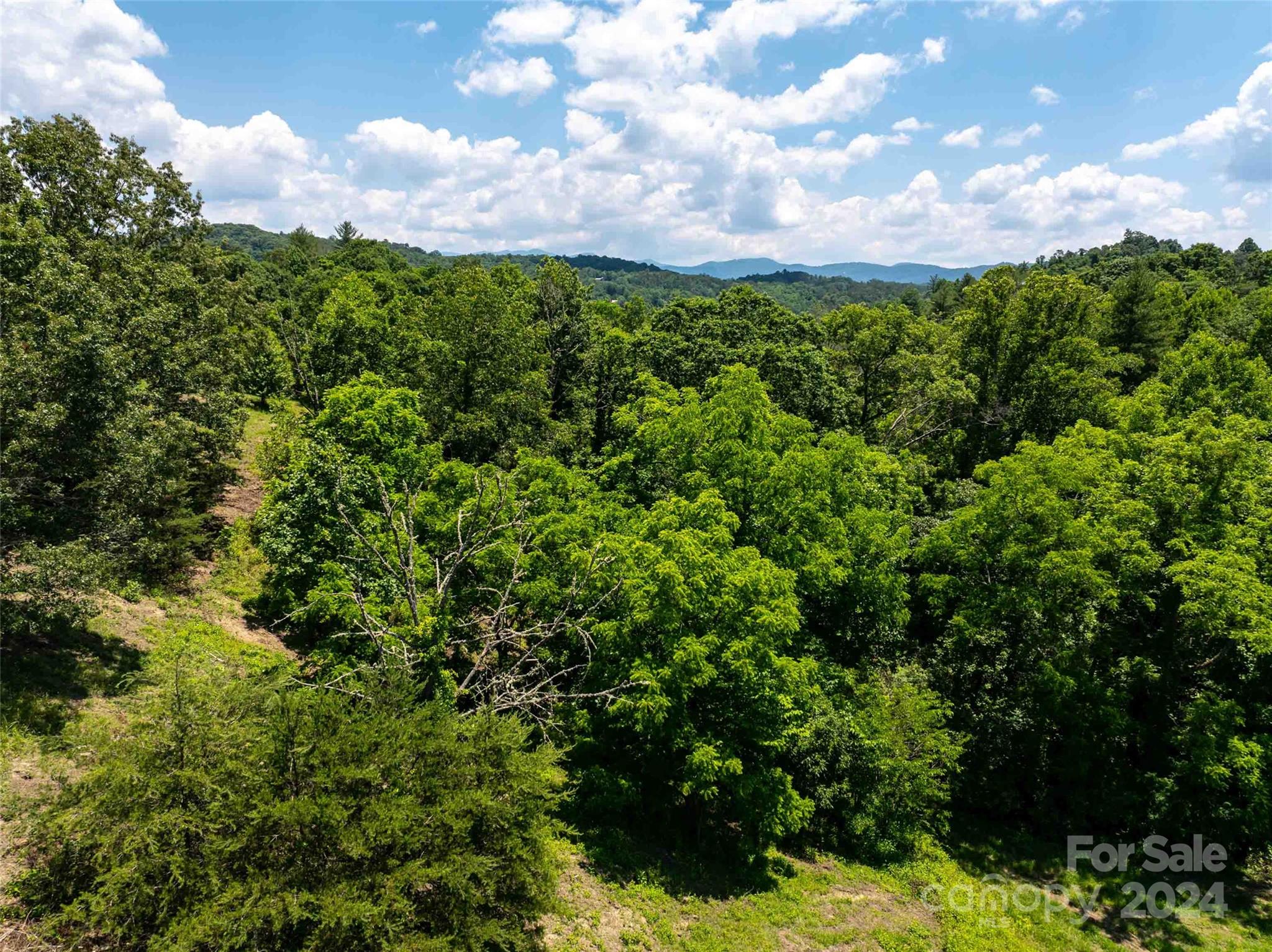 Lot 1 Firefly Ridge, Unit 1 Alexander, NC 28701 - Photo 9 of 14 Gallery Image 9