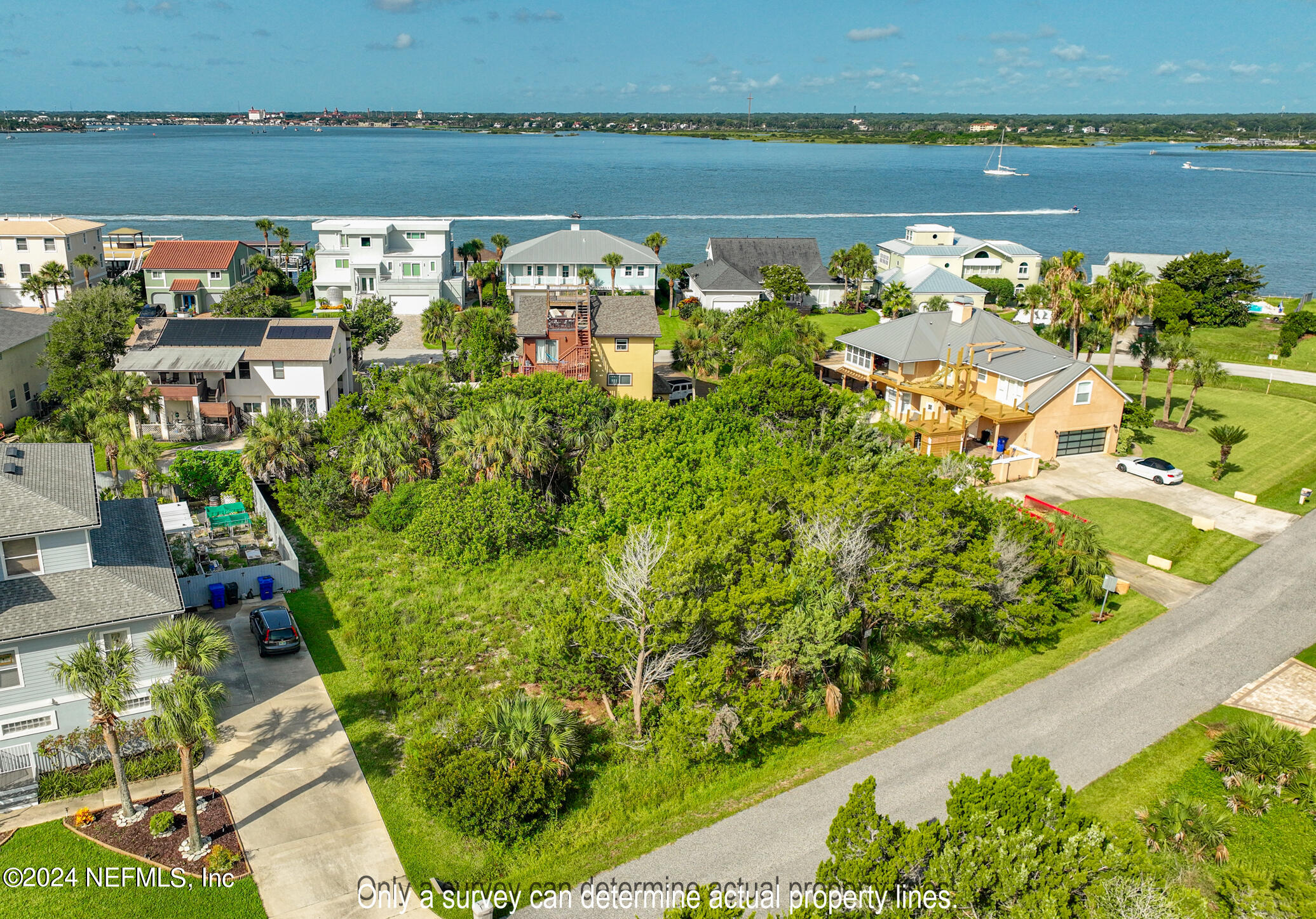 203 Sea Turtle Way St. Augustine, FL 32084 - Photo 18 of 28 a view of a garden with a lake view