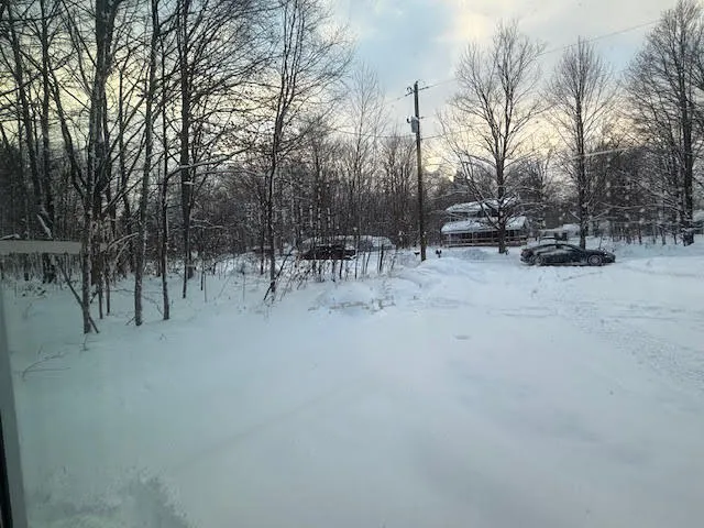 $119,900 | 7351 Larkspur Drive, Mancelona, MI 49659