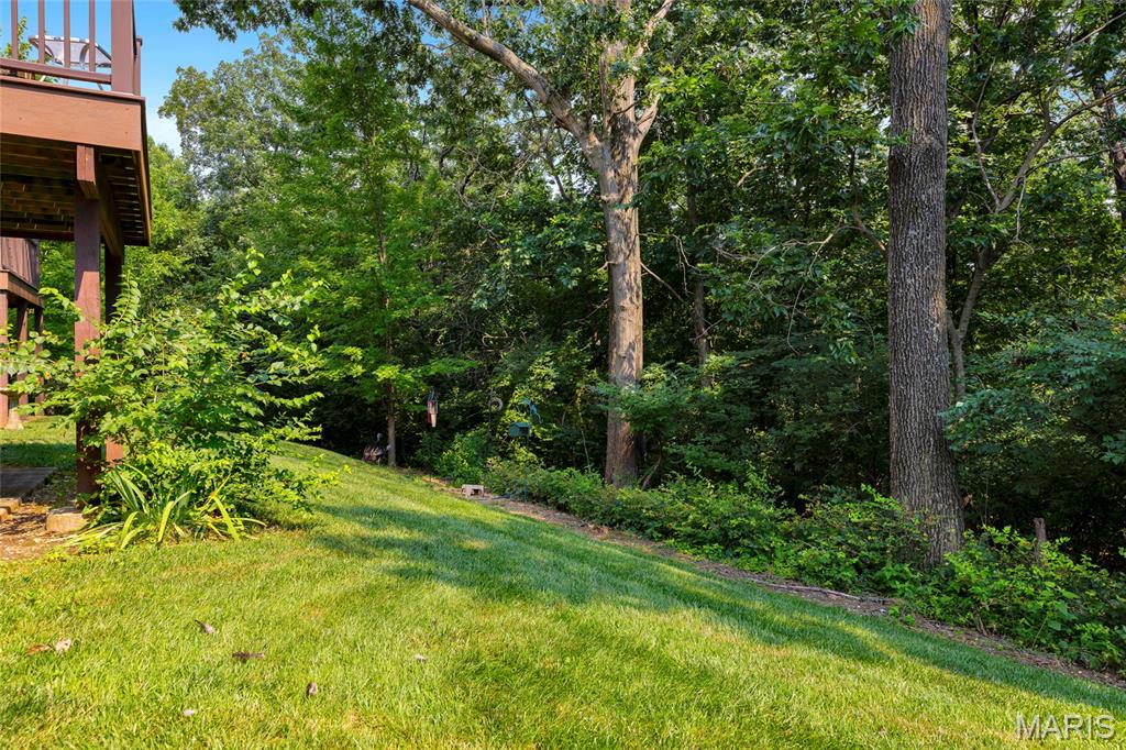 1710 Ridgeview Cir Drive Ballwin, MO 63021 - Photo 44 of 54
