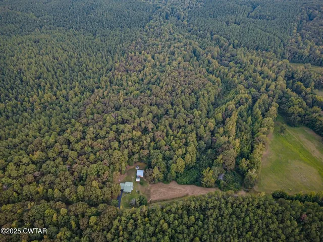 a view of outdoor space and trees