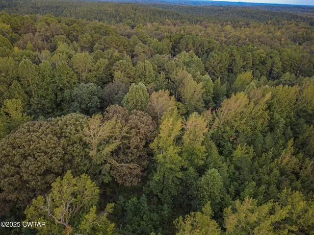 $149,900 | 1170 Keene Road, Enville, TN 38332