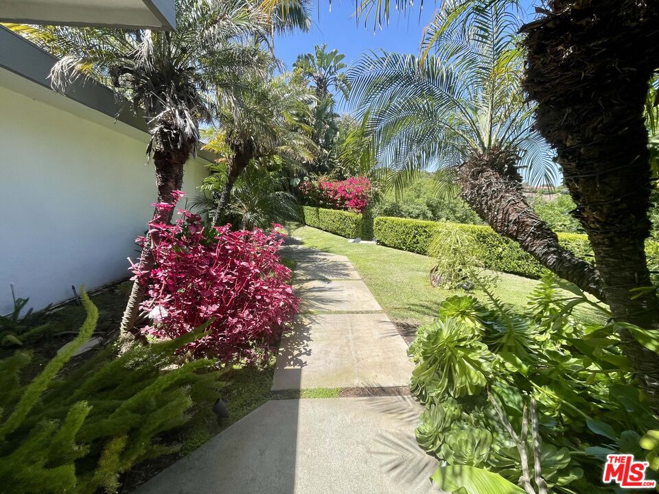 1000 Stradella Road Los Angeles, CA 90077 - Photo 18 of 29 a picture of flowers