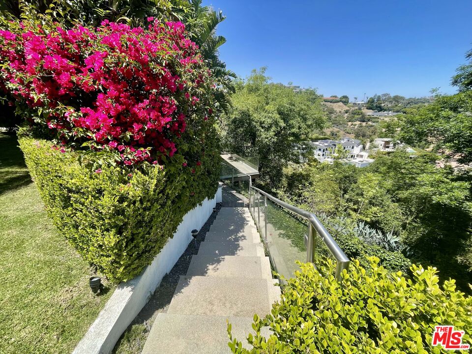 1000 Stradella Road Los Angeles, CA 90077 - Photo 19 of 29 a view of a flower arrangement in a garden