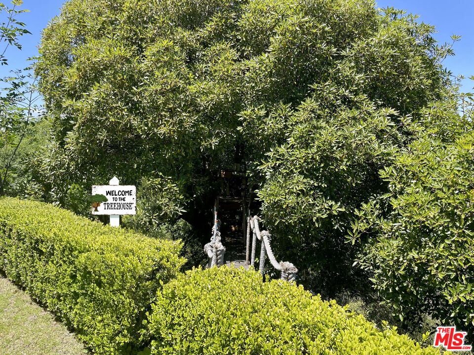 1000 Stradella Road Los Angeles, CA 90077 - Photo 26 of 29 a picture of trees