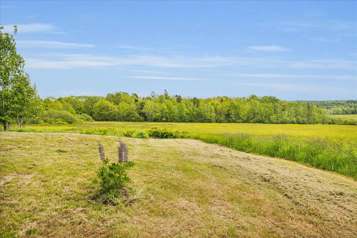 276 North Sedgwick Road Sedgwick, ME 04676 - Photo 62 of 81 northsedgwick - 62