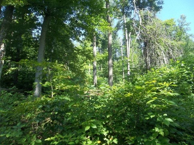 1 Big Run Road Wallingford, KY 41093 - Photo 14 of 15 Photo 14