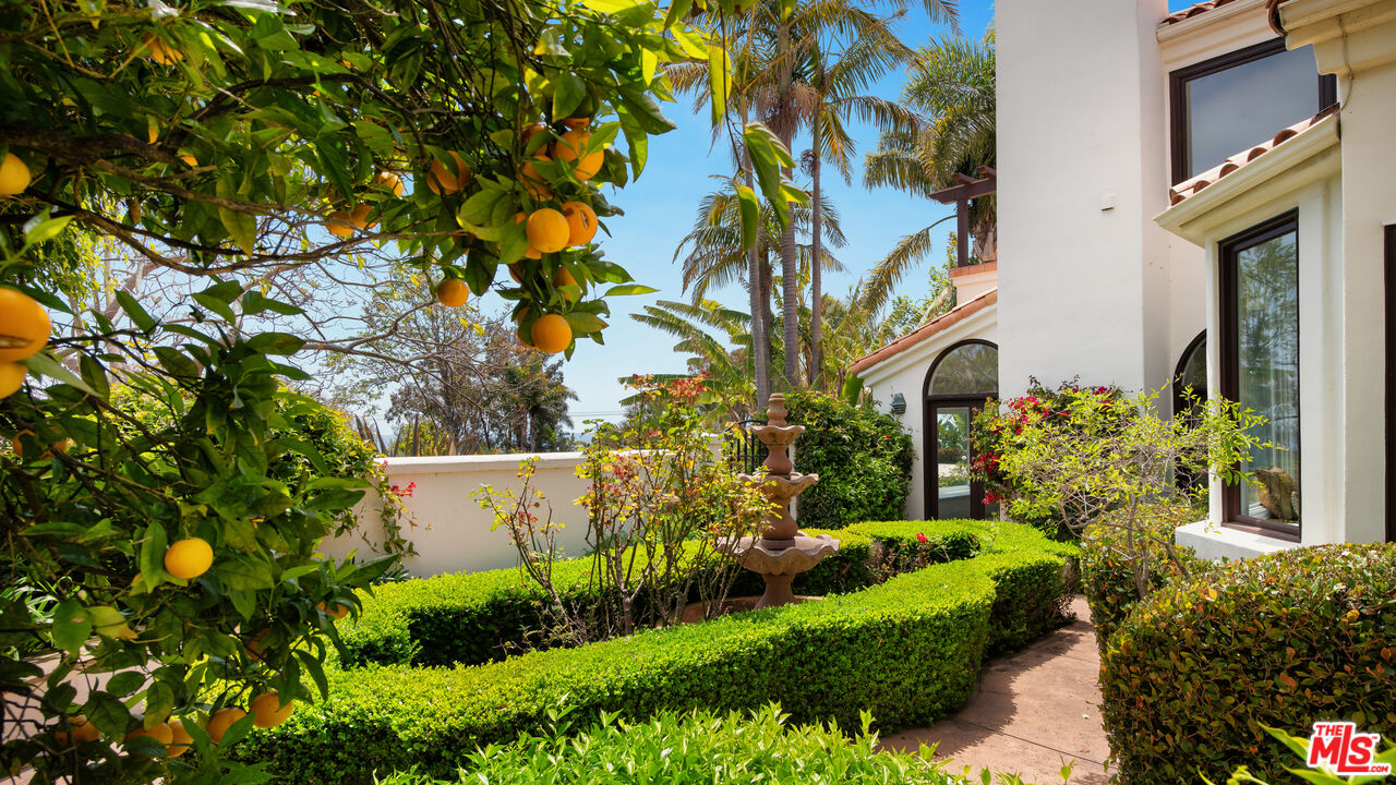 29675 Harvester Road Malibu, CA 90265 - Photo 35 of 36 a view of a garden with plants
