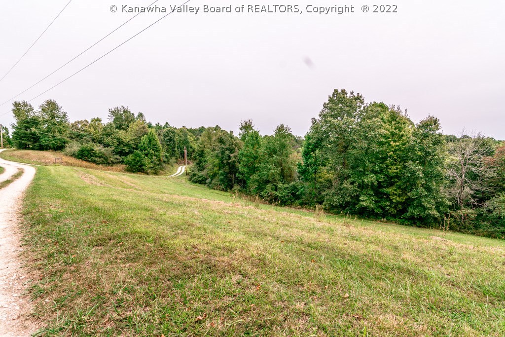 0 Jim Ridge Road Pleasureville, KY 40057 - Photo 7 of 18 Gallery Image 7
