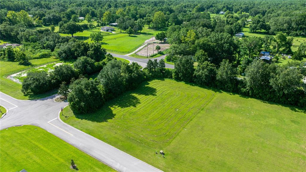 79 Southeast 79th Street Ocala, FL 34479 - Photo 3 of 11 a view of a garden with a building