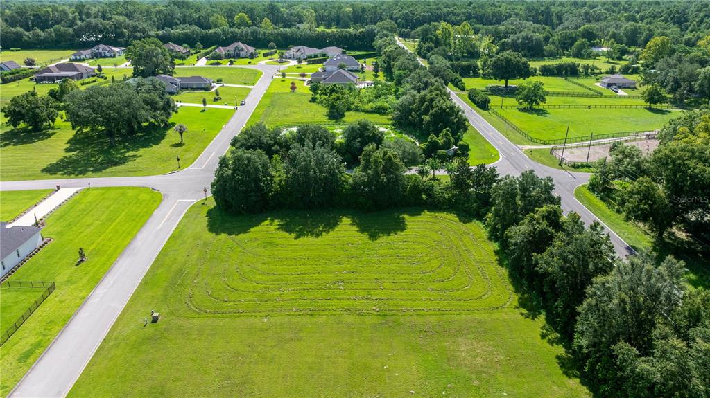 79 Southeast 79th Street Ocala, FL 34479 - Photo 5 of 11 a view of a swimming pool with a garden and trees