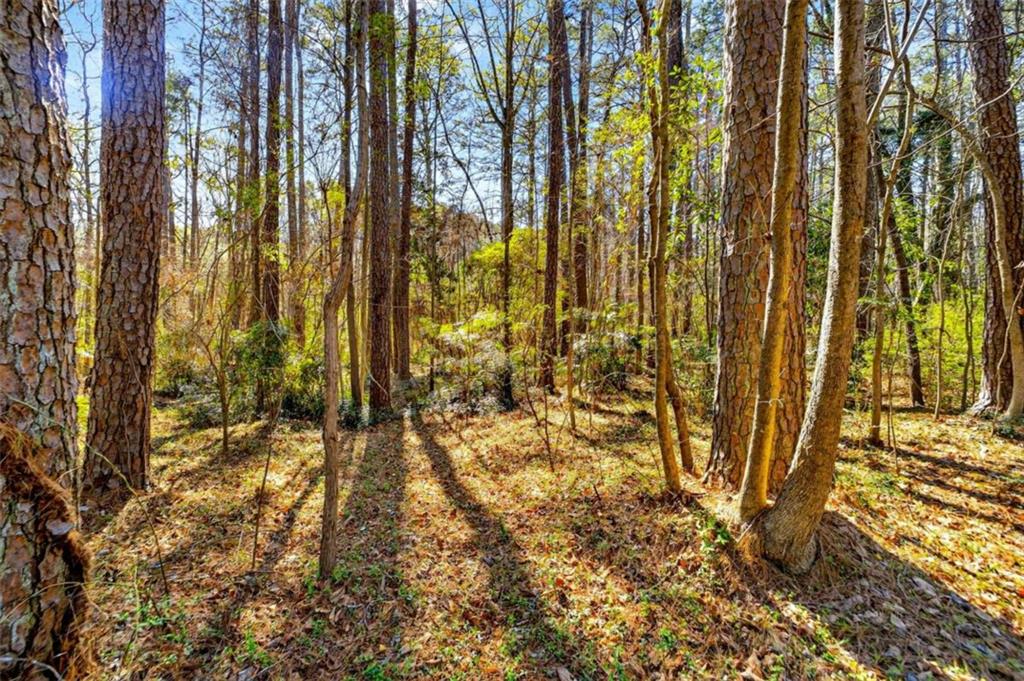 881 Rockbridge Road Lilburn, GA 30047 - Photo 42 of 47