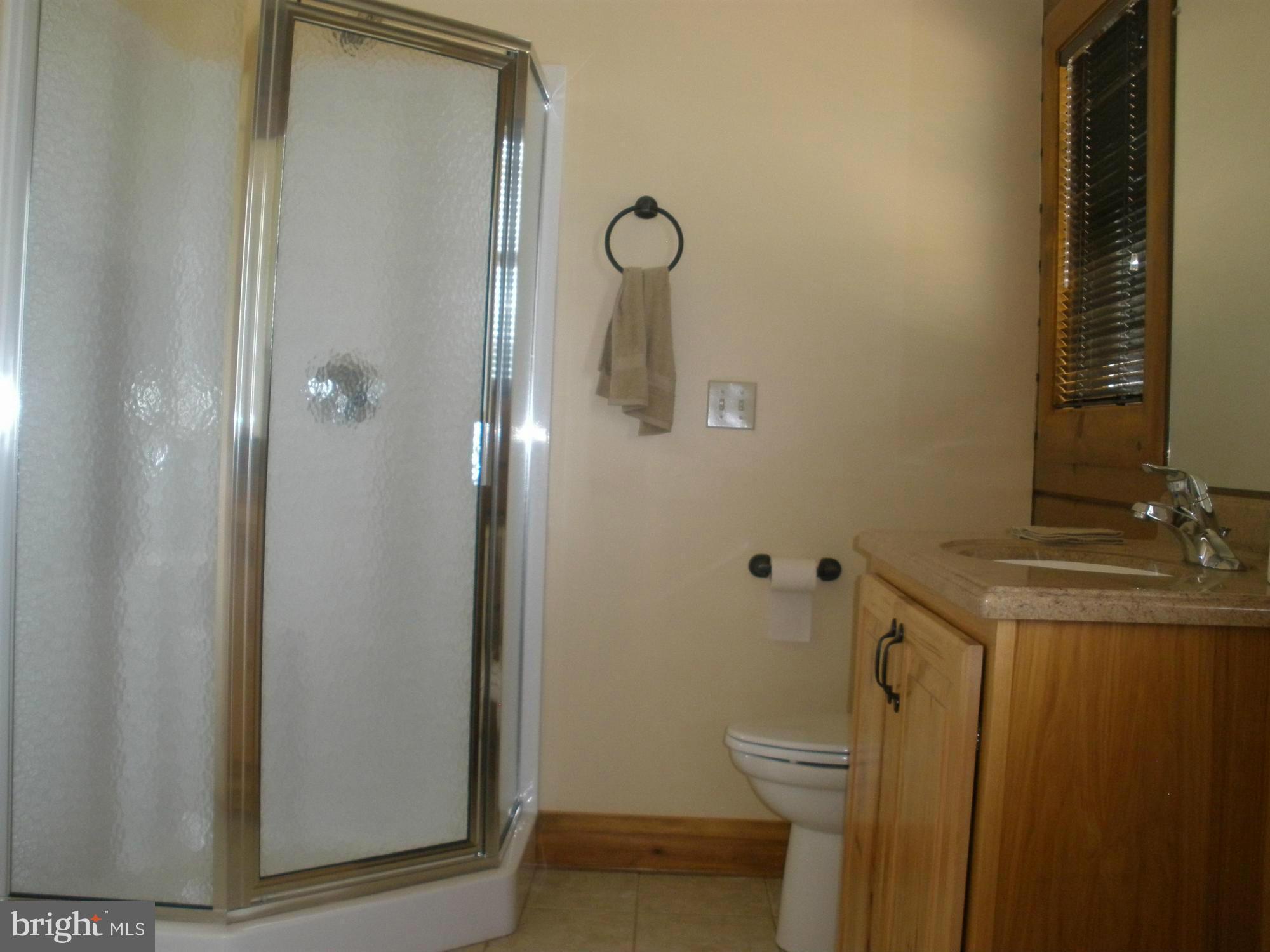 22051 Old Forge Road Smithsburg, MD 21783 - Photo 8 of 22 Bath