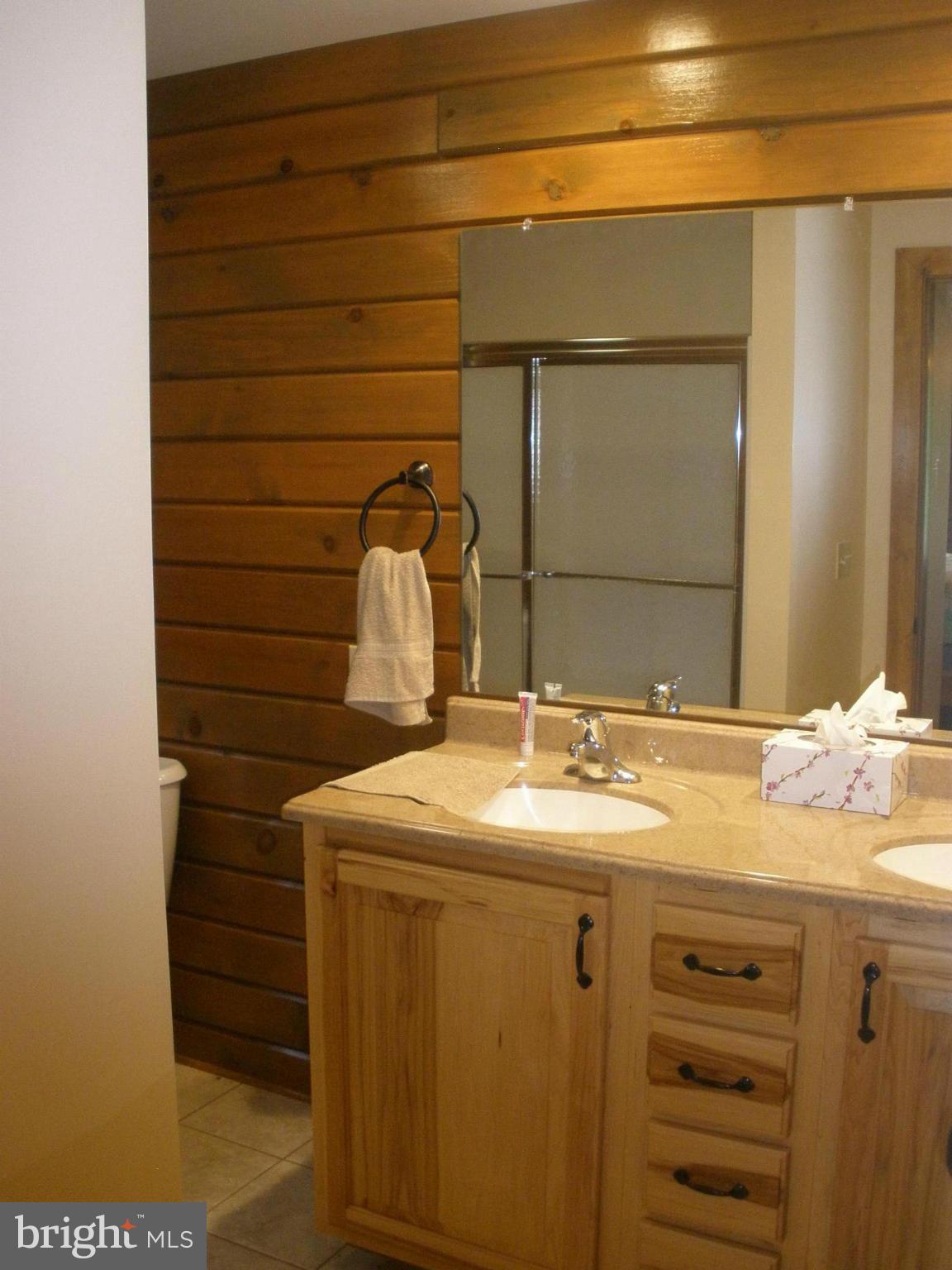 22051 Old Forge Road Smithsburg, MD 21783 - Photo 9 of 22 Bath (Master)