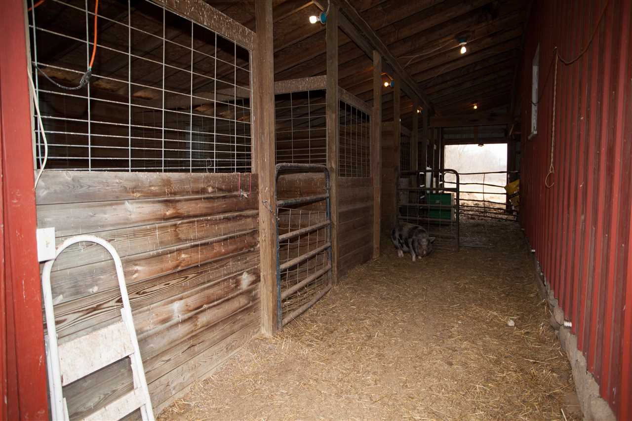 8325 South Gale Road Morrice, MI 48857 - Photo 53 of 58 Stable