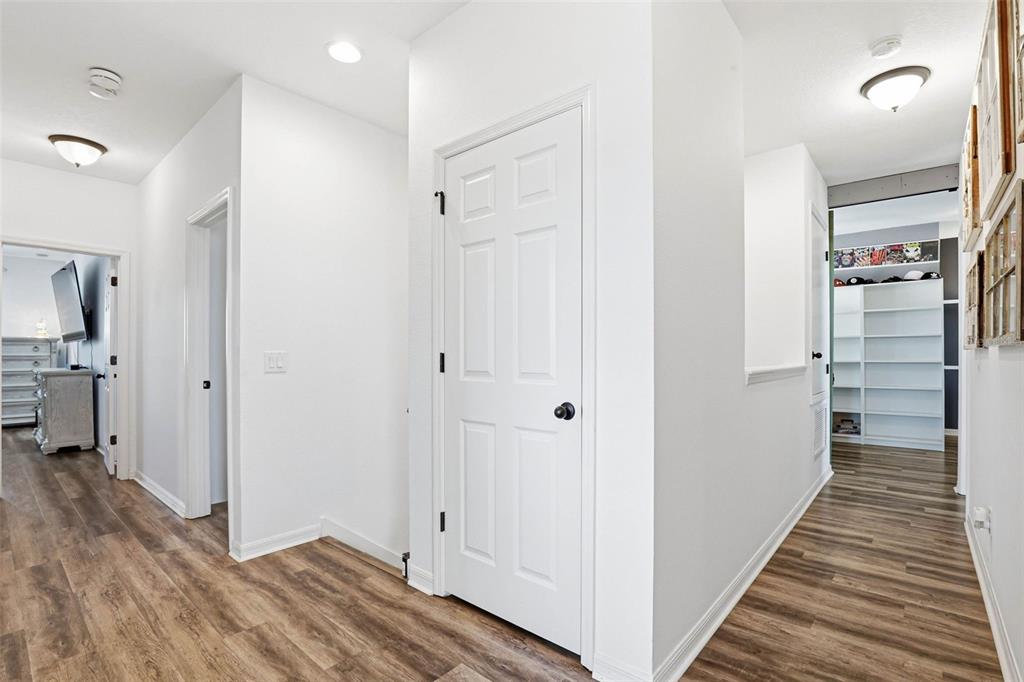 32550 Rapids Loop Wesley Chapel, FL 33545 - Photo 27 of 72