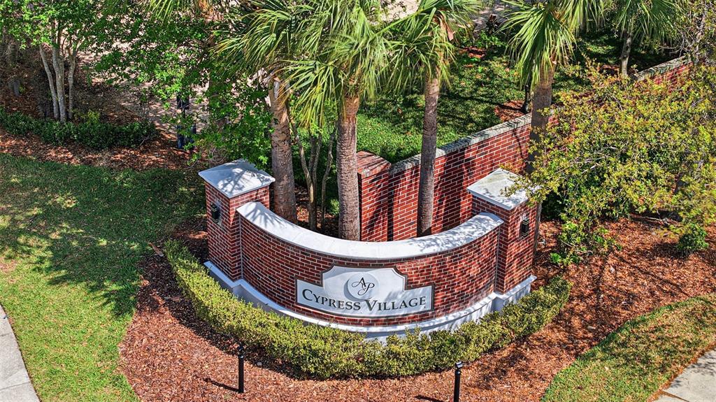 32550 Rapids Loop Wesley Chapel, FL 33545 - Photo 68 of 72