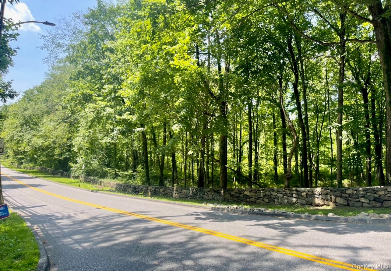 0 Barnes Lane Purchase, NY 10577 - Photo 4 of 10 a view of a yard with plants and trees