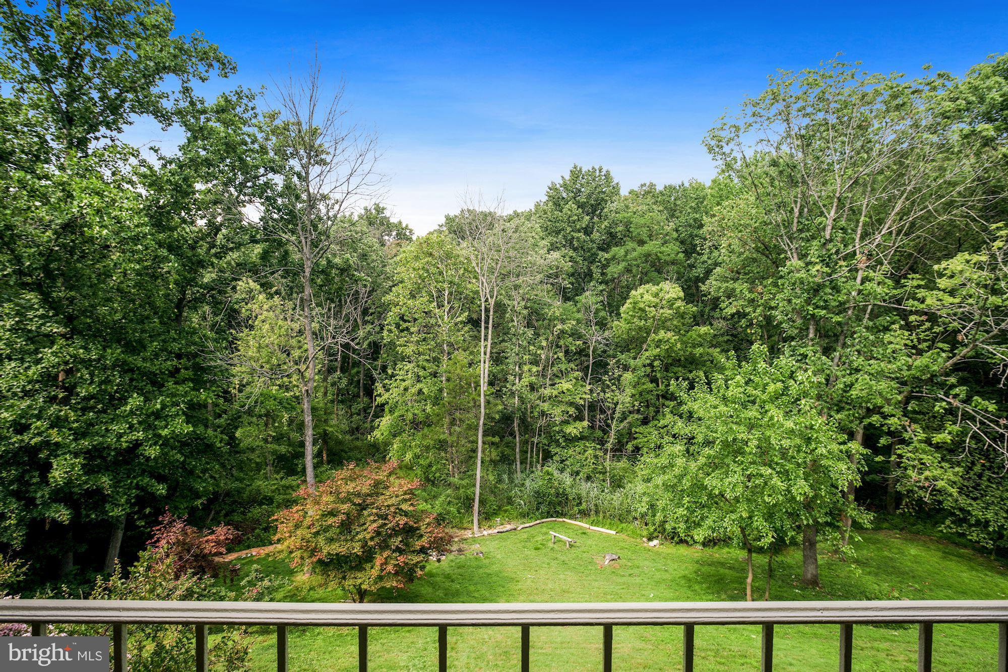 8112 Colony Point Road, Unit 231 Springfield, VA 22152 - Photo 26 of 30 Gorgeous view of woods from your balcony!