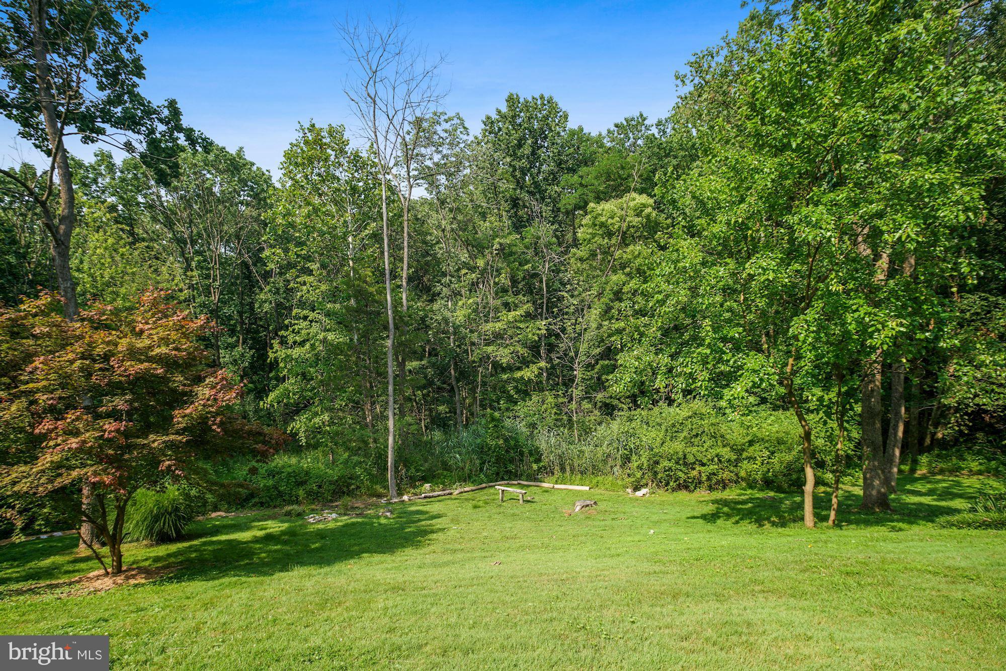 8112 Colony Point Road, Unit 231 Springfield, VA 22152 - Photo 29 of 30 Ground view of wooded area behind unit