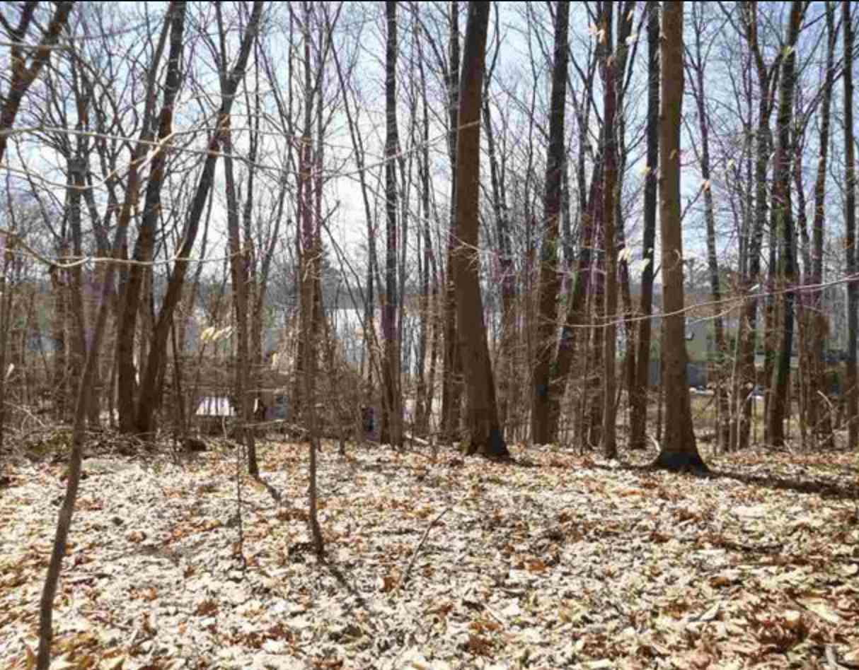 0 Point Sewall Road Wolfeboro, NH 03894 - Photo 3 of 5 Gallery Image 3