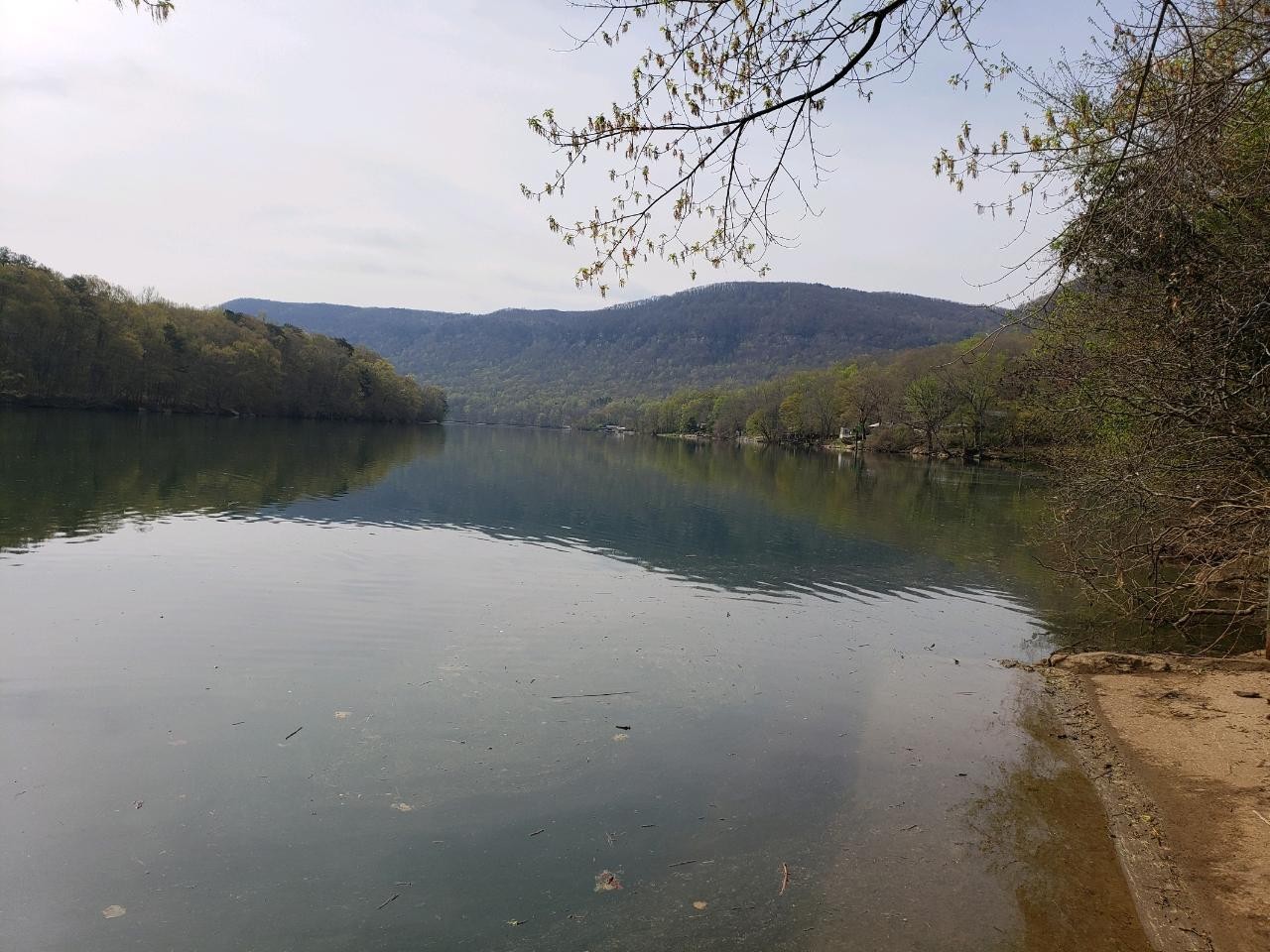 19756 River Canyon Road Chattanooga, TN 37405 - Photo 4 of 40