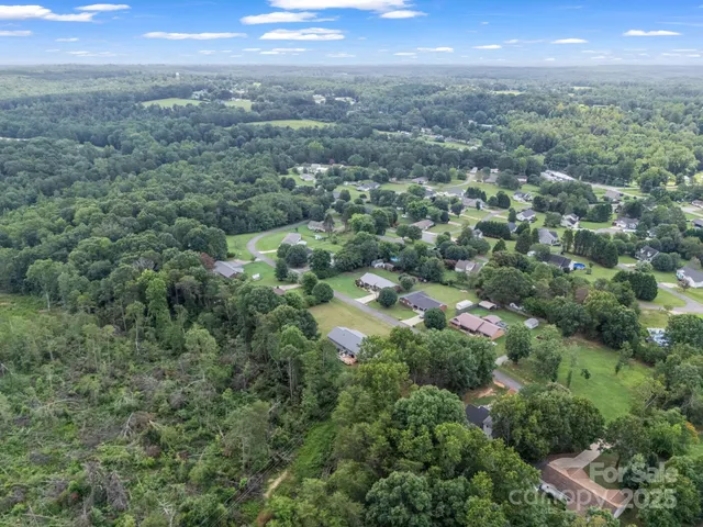 an aerial view of city and green space
