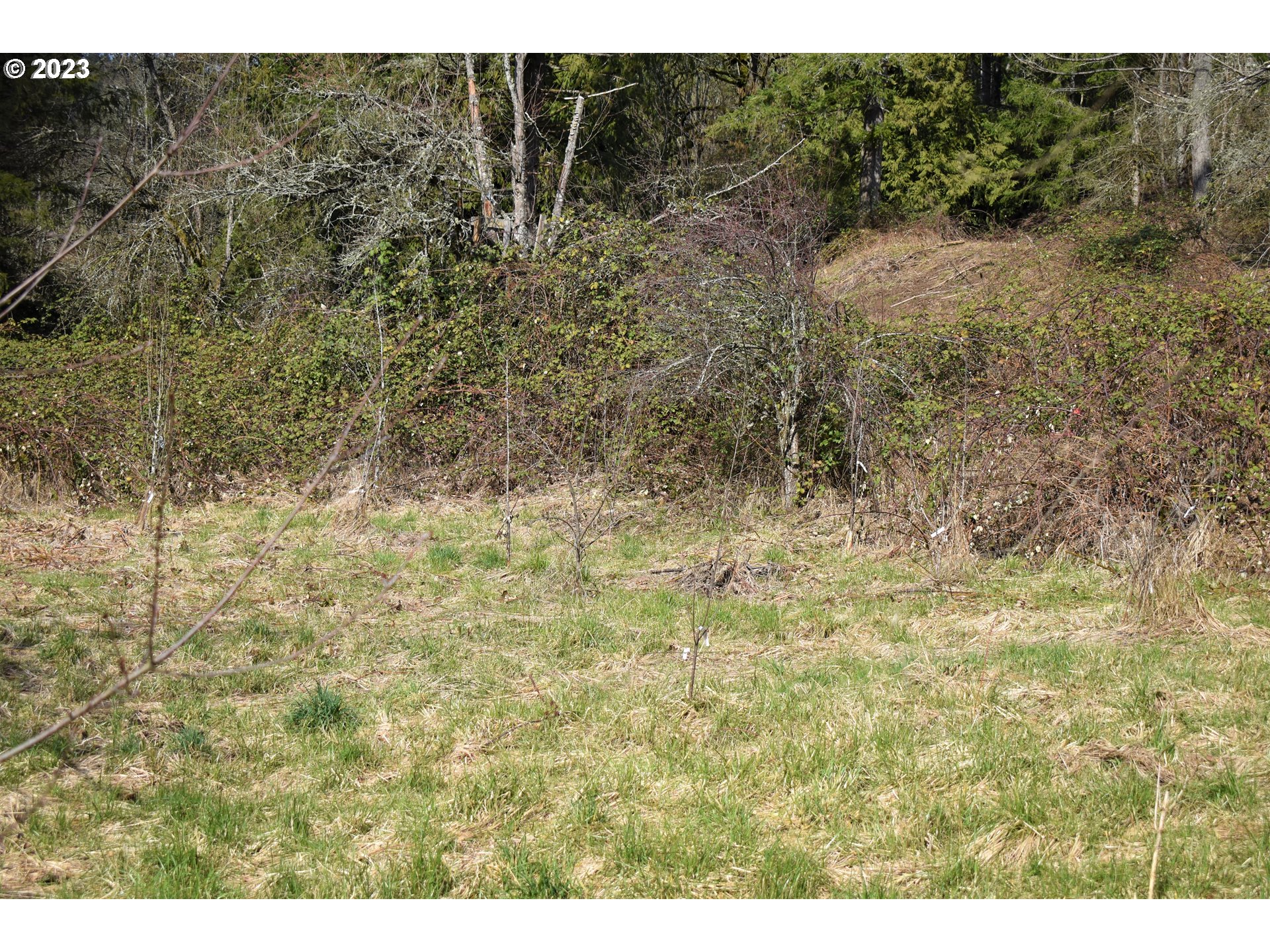14785 South Howards Mill Road Mulino, OR 97042 - Photo 6 of 29 Gallery Image 6