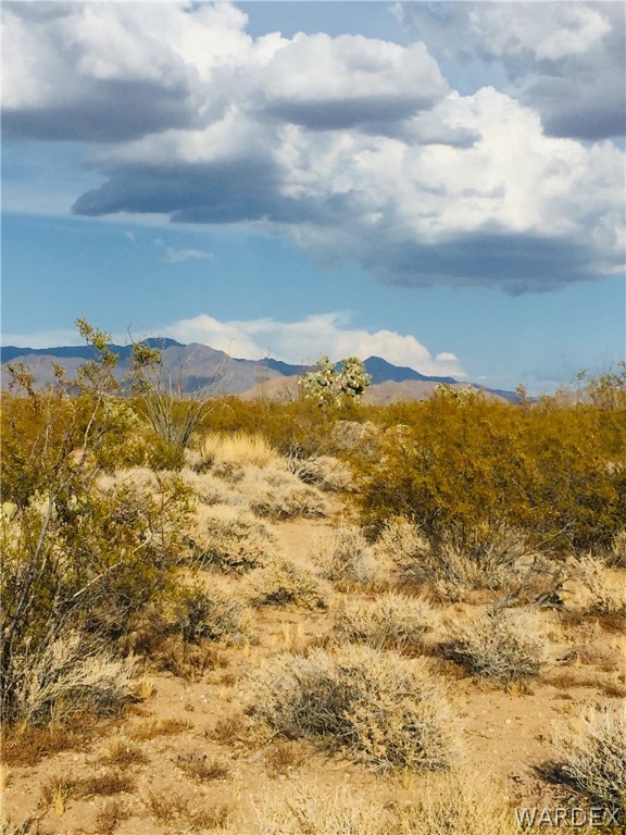 234 South Cortaro Road Yucca, AZ 86438 - Photo 1 of 8 a view of ocean