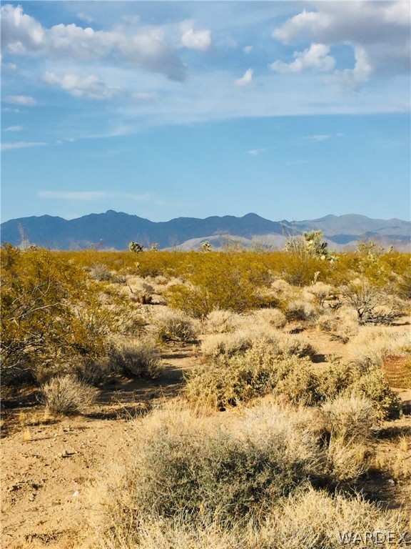 234 South Cortaro Road Yucca, AZ 86438 - Photo 2 of 8 a view of ocean view