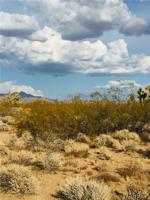 234 South Cortaro Road Yucca, AZ 86438 - Photo 3 of 8 a view of mountain