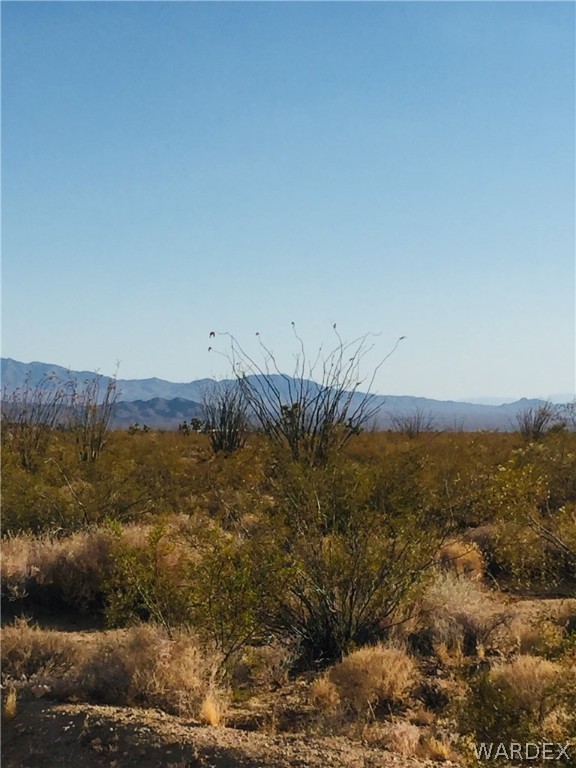 234 South Cortaro Road Yucca, AZ 86438 - Photo 5 of 8 a view of an ocean
