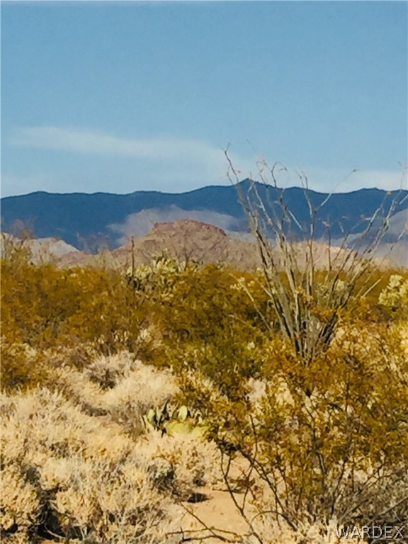 234 South Cortaro Road Yucca, AZ 86438 - Photo 6 of 8 a view of a large body of water with a mountain