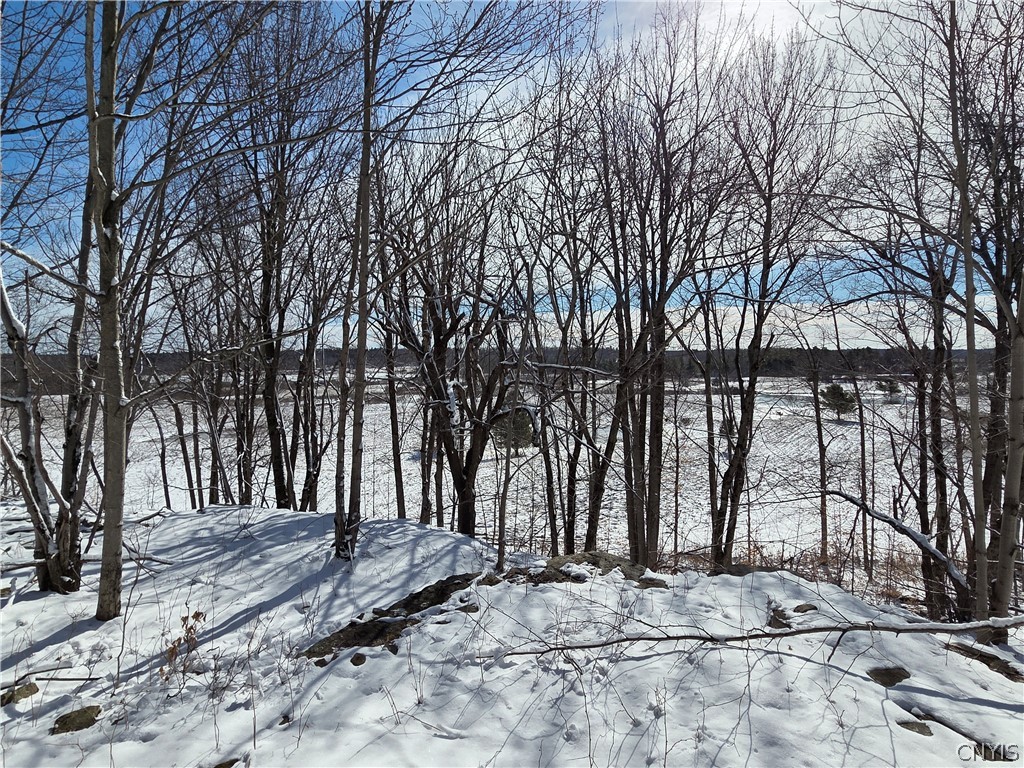 Calaboga Road Redwood, NY 13679 - Photo 2 of 11 View of farm fields