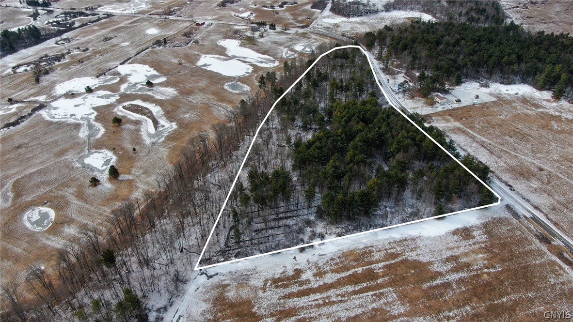 Calaboga Road Redwood, NY 13679 - Photo 3 of 11 Aerial view