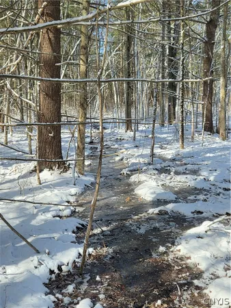 $59,000 | Calaboga Road, Redwood, NY 13679