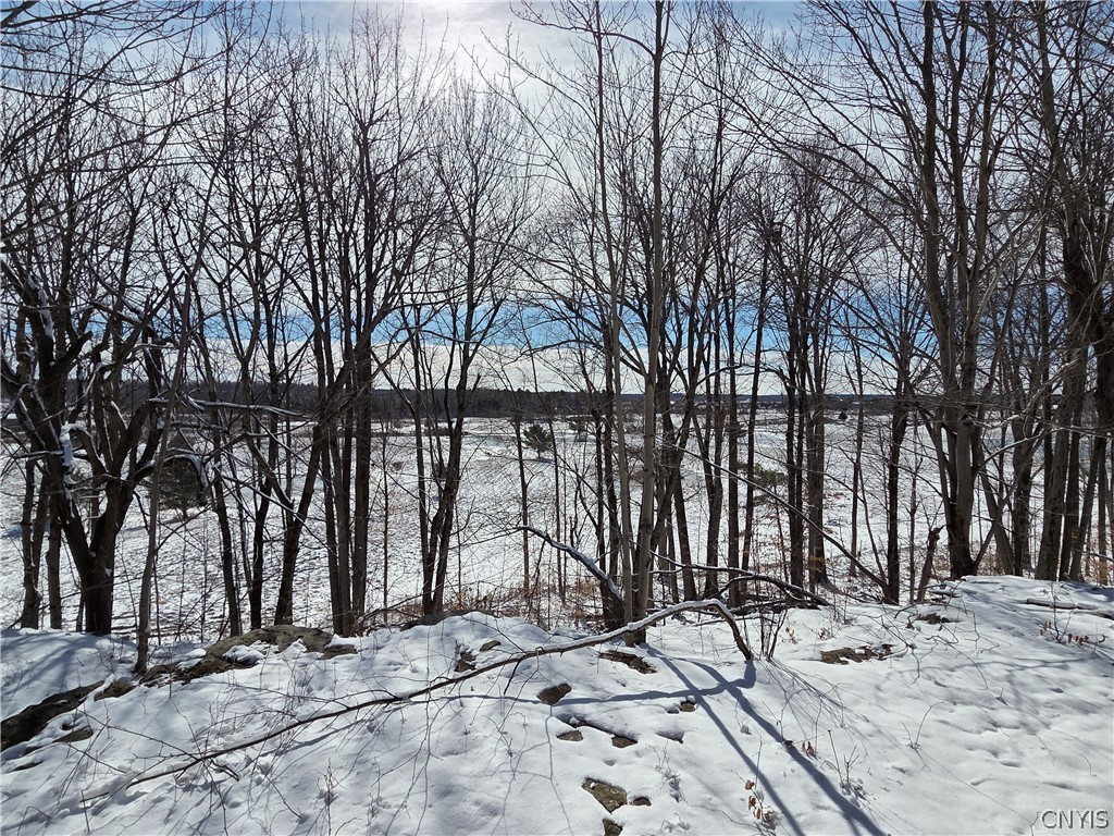 Calaboga Road Redwood, NY 13679 - Photo 5 of 11 View of farm fields