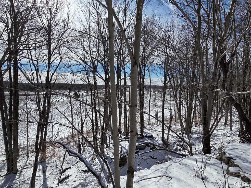 Calaboga Road Redwood, NY 13679 - Photo 6 of 11 View of farm fields