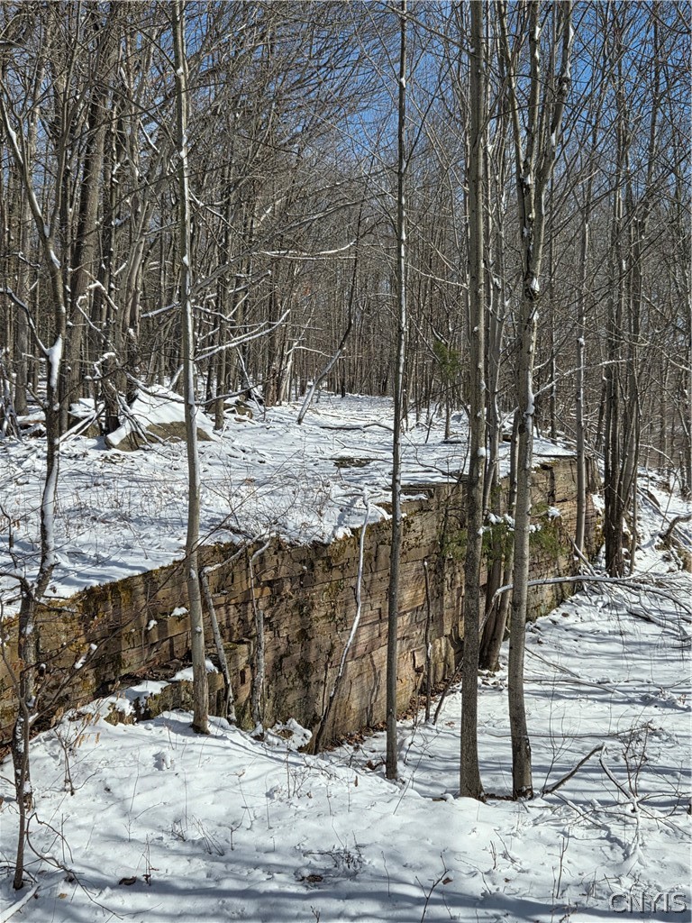 Calaboga Road Redwood, NY 13679 - Photo 7 of 11 Incredible rock formations