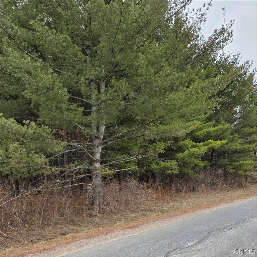 Calaboga Road Redwood, NY 13679 - Photo 8 of 11 View from Calaboga Rd